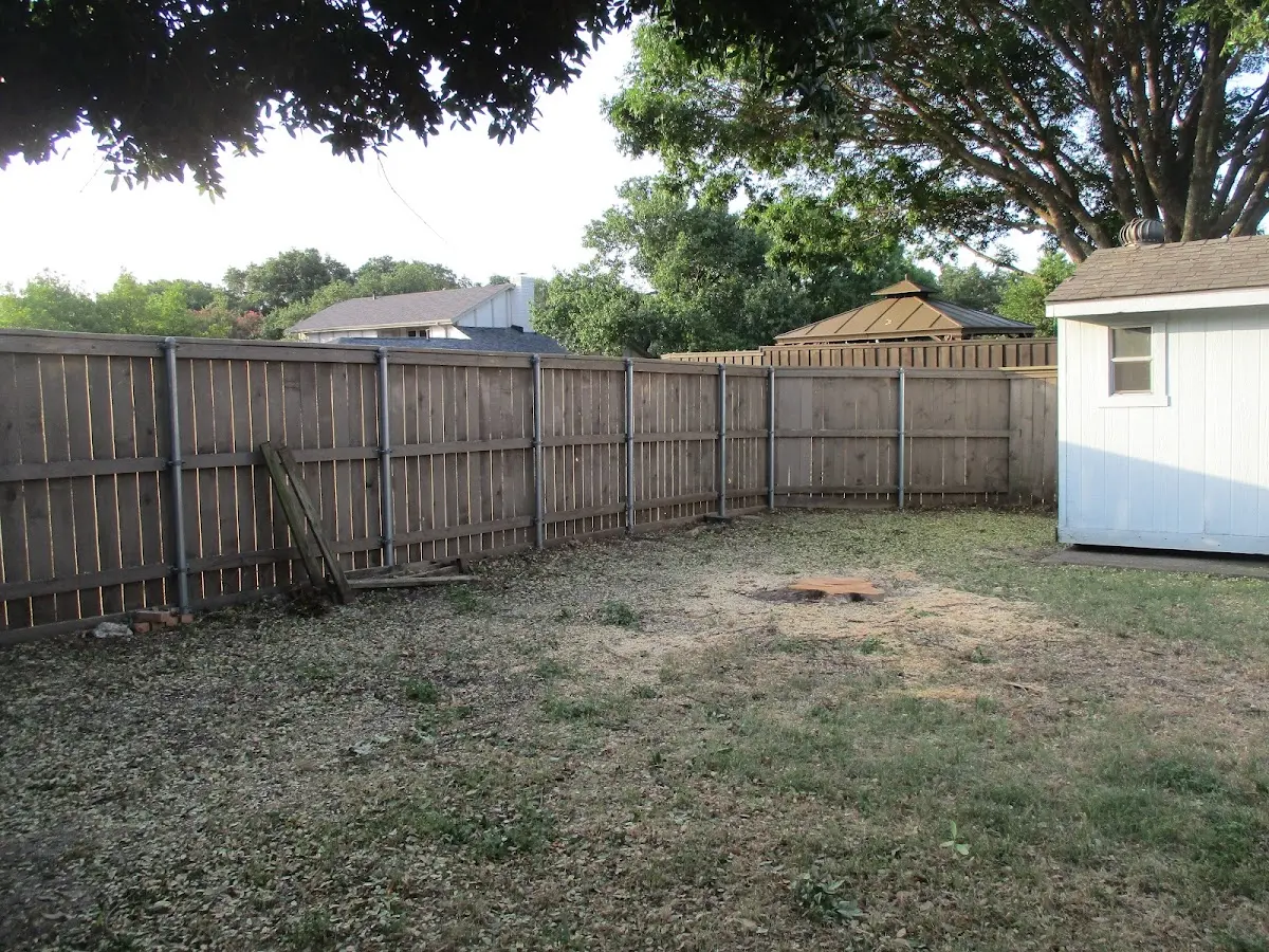 Cleared yard after professional tree removal in Port Monmouth